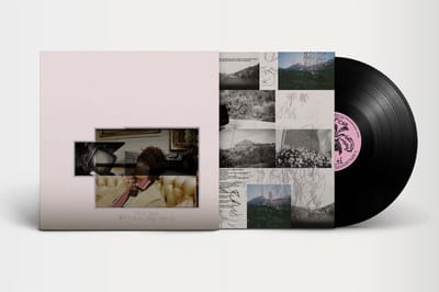 Fionn Regan - O Avalanche (LP)