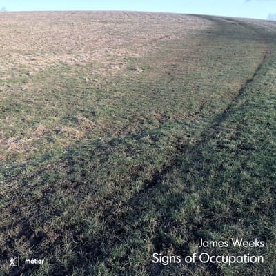 Marcusbarcham Stevens & Daniel Pioro & Maxine Moore & Co - Sings Of Occupation (CD)