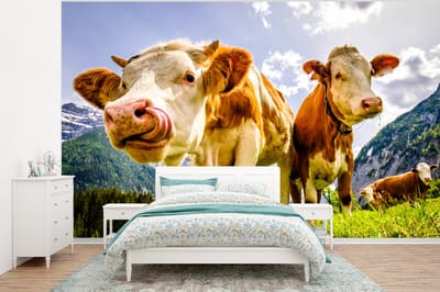 Behang - Fotobehang Koeien - Bergen - Gras - Landschap - Alpen - Breedte 320 cm x hoogte 240 cm