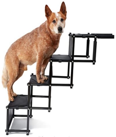 Dailygoods Hondentrap, hondenhelling, maximale belasting: 80 kg, opvouwbaar, antislip, voor vrachtwagens, bedden, auto's