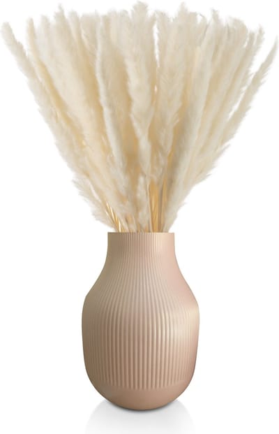 Blumtal Pampas Pluimen - Droogbloemen - Boeket - Set Gedroogde Bloemen - 58 / 60 cm - Wit - 30 Stuks