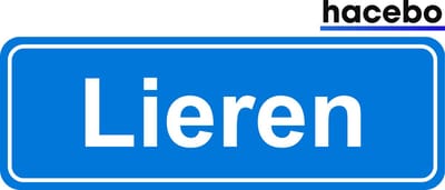 Hacebo - Plaatsnaam Sticker - 29x10 CM - Lieren sticker - Verkeersborden sticker - grappige cadeaus - Lieren