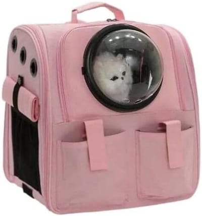 Huisdier Rugzak - Draagbare Kattenkooi - Handig Reizen - Ademend Gaas - 38 x 26 x 38 cm - F