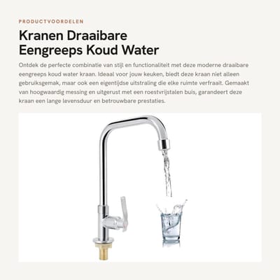 Dailygoods- Aanrechtkraan Draaibaar - Eengreeps Koud Water Kraan - Messing Behuizing - Verchroomd - Totale Hoogte 29 cm - Uitloop Bereik 16 cm - Waterkraan