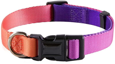 Dailygoods - Verstelbare Gewatteerde Hondenhalsband - Zachte Nylon Kraag voor Honden