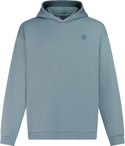 Protest PRTRoman - Hoodie Heren - Relaxed fit - Capuchon
