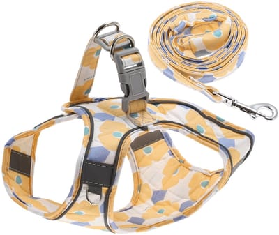 Dailygoods - Puppy Harnas en Lijn Set - Veilig en Comfortabel - Maat M - Oranje - Reflecterende Strepen - Perfect voor Wandelen
