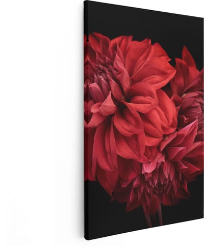 Artaza Canvas Schilderij Dahlia - 80x120 cm - Groot - Wanddecoratie Bloemen - Muurdecoratie Bloemen Rood - Schilderij Bloemen