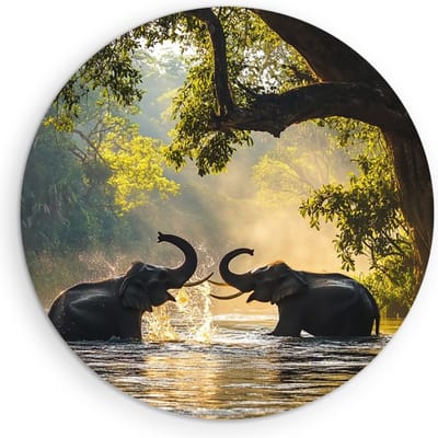 Saammp Muurcirkel Hout - 2 Spelende Olifanten - Afrika - Dieren - Ø 90 - Wandcirkel - Wanddecoratie Cirkel - muurdecoratie Woonkamer - Slaapkamer decoratie - Rond Schilderij