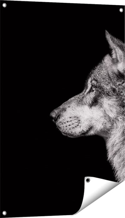 Gards Tuinposter Wolvenkop - Wolf - Zwart Wit - 60x90 cm - Tuindoek - Tuindecoratie - Wanddecoratie buiten - Tuinschilderij