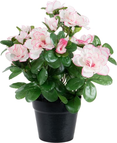 Louis Maes Azalea Kunstplant - lichtroze - in binnenpot - H25 cm - kunstbloemen