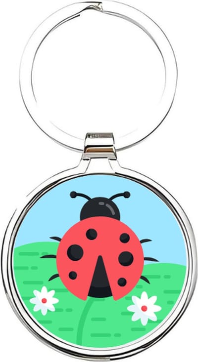 Akyol - Lieveheersbeestje Sleutelhanger - lieveheersbeestje - dierenliefhebbers - Insecten - kever - keverbeestje - dieren - geluksbrenger - coccinellid - cadeau voor dierenliefhebbers - insect - kapoentje - 4 x 7,5 CM