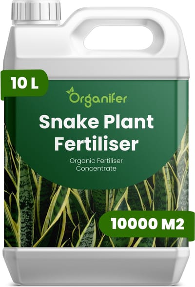 Vloeibare Meststof Voor Sansevieria 10 L Voor 10000 M2 - Npk 2-1-8 - Opgaande Bladgroei - Sterke Bladkleur - Bladstevigheid - Gelijkmatige Groei - Sterk Wortelstelsel - Zachte Nutriëntenopname - Herstel Na Verpotten - Organifer