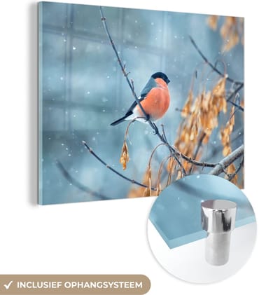 MuchoWow® Glasschilderij 40x30 cm - Schilderij acrylglas - Roodborstje - Vogel - Sneeuw - Herfstbladeren - Foto op glas - Schilderijen