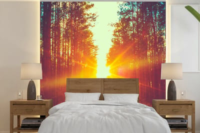 Behang - Fotobehang Zonsondergang - Bomen - Bos - Natuur - Breedte 240 cm x hoogte 240 cm