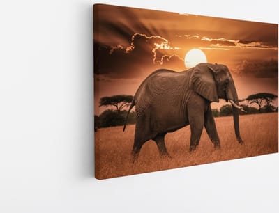 Saammp Canvas Schilderij - olifant in de Zonsondergang - Afrika - Dieren - 45x30 - Foto op canvas - Wanddecoratie - muurdecoratie Woonkamer - Slaapkamer decoratie - Canvas Print