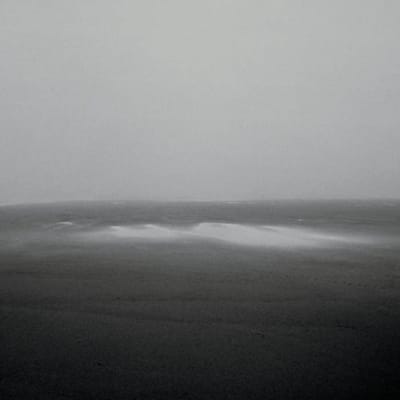 Barreca & Leimer - Drowning Guides (2 CD)