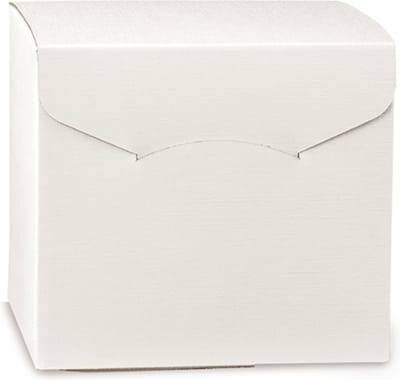 Geschenkdoos karton WIT, 20x20x18cm (30 stuks)