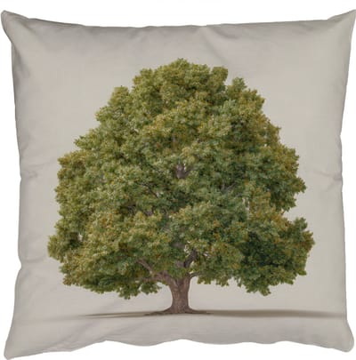 Sierkussens - Kussentjes Woonkamer - 50x50 cm - Eikenboom - Groen - Lichte achtergrond