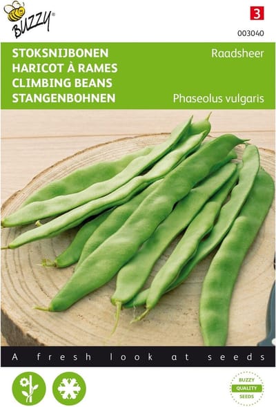 Sperzieboon (Phaseolus vulgaris) - Stoksnijbonen Raadsheer, type Veense - Buzzy - Moestuin - bloeit in Augustus / September