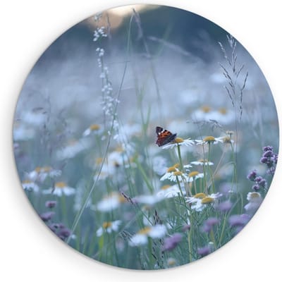 Saammp Muurcirkel Hout - Vlinder in bloemenveld - Dieren - Natuur - Ø 90 - Wandcirkel - Wanddecoratie Cirkel - muurdecoratie Woonkamer - Slaapkamer decoratie - Rond Schilderij