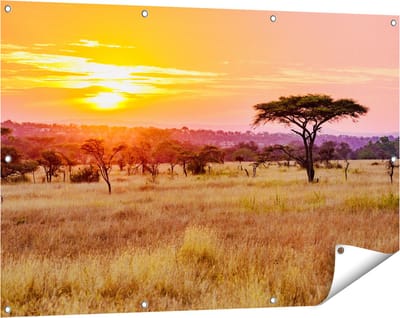 Gards Tuinposter Zonsondergang in de Savanne - 120x80 cm - Tuindoek - Tuindecoratie - Wanddecoratie buiten - Tuinschilderij