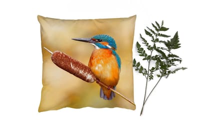 Sierkussens - Kussentjes Woonkamer - 40x40 cm - IJsvogel - Natuur - Vogel