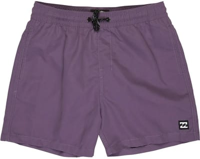 Billabong All Day Lb Zwembroek Paars 14 Years Jongen