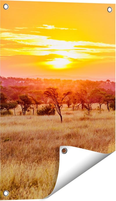 Gards Tuinposter Zonsondergang in de Savanne - 40x60 cm - Tuindoek - Tuindecoratie - Wanddecoratie buiten - Tuinschilderij