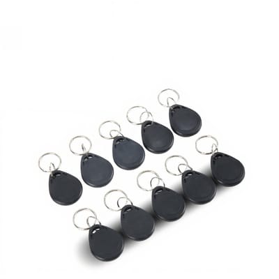 Dailygoods- RFID-sleutelhanger 100 Stuks - Lichtgewicht - Waterdicht - Veilig ABS - Gevoelige Inductie - Handig voor Toegangscontrolesysteem - RFID-tag
