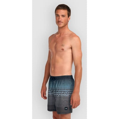 O'Neill Logo Stripe 16 Zwemshort Heren - Maat M