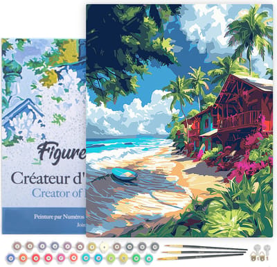 Figured'Art Schilderen op Nummer Volwassenen met lijst Surf dorp- Handwerk acrylverf Kit DIY Compleet - 40x50cm Canvas al ingelijst