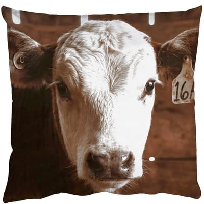 Sierkussens - Kussentjes Woonkamer - 50x50 cm - Kalf - Oormerk - Houten stal