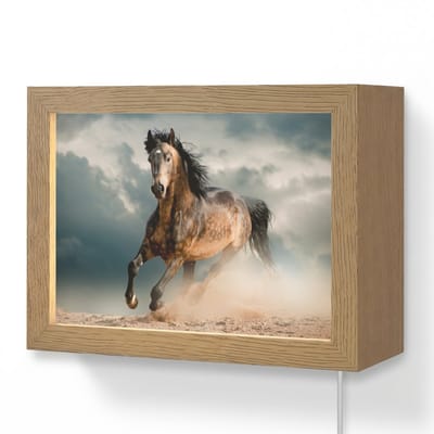 Wandlamp 20x15 cm - Oplaadbaar - Paard - Dieren - Bruin - Natuur - Wandlampen binnen woonkamer - Slaapkamer lamp met kabel - Decoratieve nachtlamp - Vloerlamp snoer