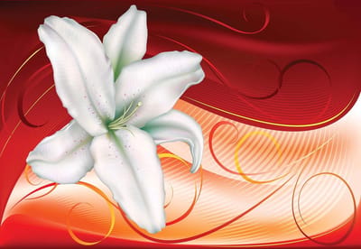 Fotobehang Lily Heart Abstract | DEUR - 211cm x 90cm | 130g/m2 Vlies