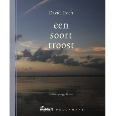 Een Soort Troost - Wablieft - David Troch