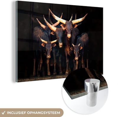 Glasschilderij - Koe - Watussie - Stier - Dieren - Hoorns - Zwart - 60x40 cm - Acrylglas Schilderijen - Foto op Glas