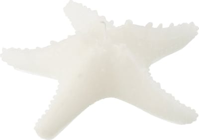 J-Line kaars Zeester - wit - large - 3U