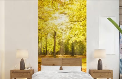Behang - Fotobehang Boom - Natuur - Zon - Landschap - Bos - Breedte 120 cm x hoogte 240 cm