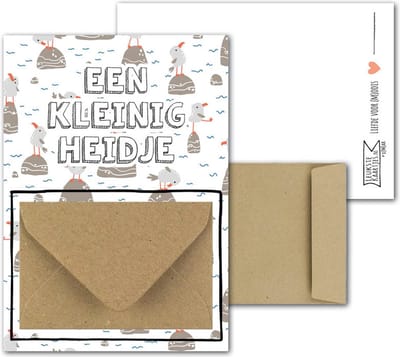 Geldkaart met mini Envelopje -> Zakcentje - No:04-1 (Meeuw op steen-kleinigheidje) - LeuksteKaartjes.nl by xMar
