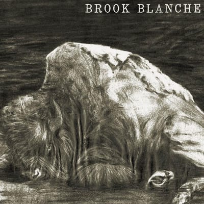Brook Blanche - Brook Blanche (LP)