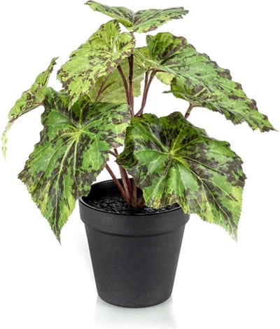 Emerald - Kunstplant in pot Begonia groen 25cm - Kunstplant voor binnen