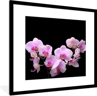Fotolijst incl. Poster - Orchidee - Bloemen - Roze - Flora - 40x40 cm - Posterlijst