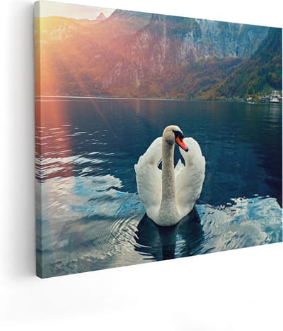 Artaza Canvas Schilderij Zwaan - 50x40 cm - Wanddecoratie Vogels - Muurdecoratie Bergen - Kamer Accessoires Woonkamer