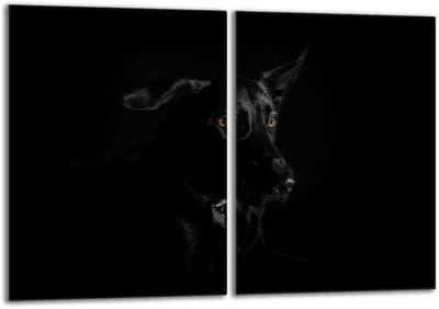 TMK ArtDeko Pies Serie - Glazen Beschermplaat - 2x40x52 - Veilig - Veelzijdig