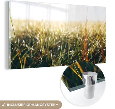 MuchoWow® Glasschilderij 40x20 cm - Schilderij acrylglas - Grasveld - Pampasgras - Gras - Foto op glas - Schilderijen