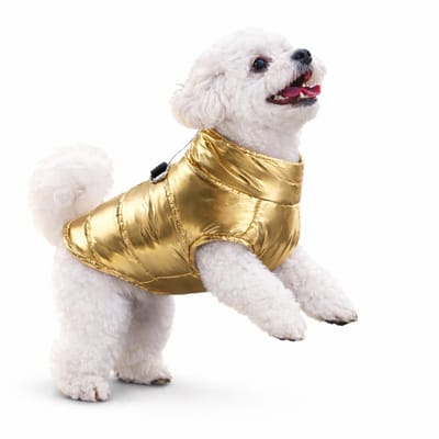 Hondenjas Waterdicht – Regenjas Kleine Hond – Warme Puppy Jas – Maat S - Metallic Goud