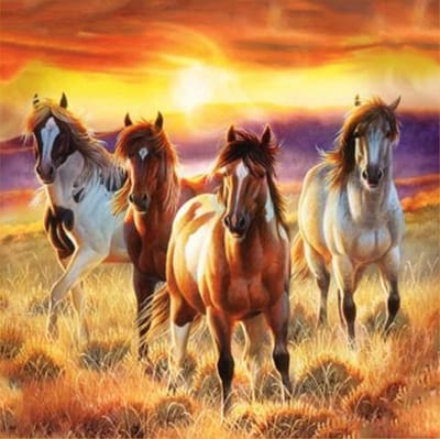 VDTOYS® DIAMOND PAINTING volwassenen - VDTC225 - vierkante steentjes - full - groot formaat - nieuwe tekeningen - 55 op 45 cm (canvas) - 50 op 40 (foto)