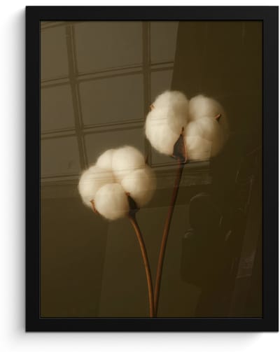 Poster in lijst - Fotolijst 30x40 cm - Posters - Takken - Katoen - Wit - Bollen - Posterlijst zwart - Decoratie - Wanddecoratie woonkamer - Muurdecoratie slaapkamer