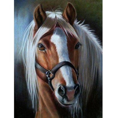DIY paard 5D diamant schilderij kruissteek volledige ronde strass diamant borduurwerk dier 20X30CM